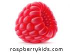raspberrykids-logo