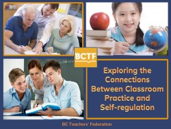 Exploring the Connections Between Classroom Practice and Self Regulation