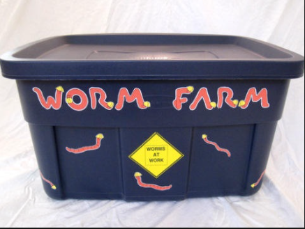 Incorporating a Worm Bin into your Classroom