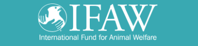 IFAW-Living in a Good Way with Dogs - Unit 5: Working Dogs,Traditional and Today