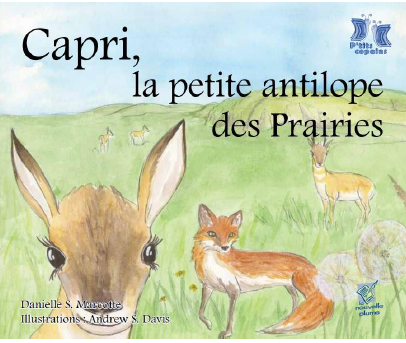 Capri, la petite antilope des Prairies (cahier pédagogique)
