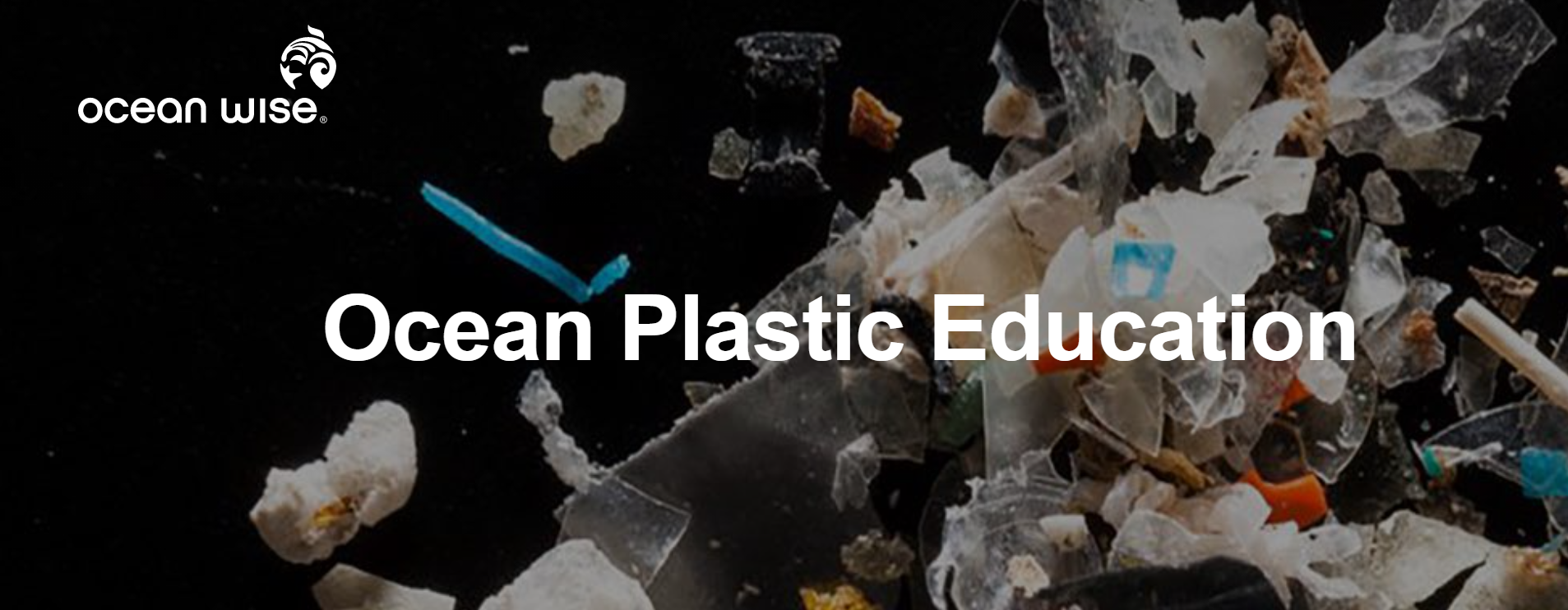 Ocean Plastic Education Kit