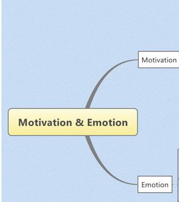 Motivation and Emotion Project