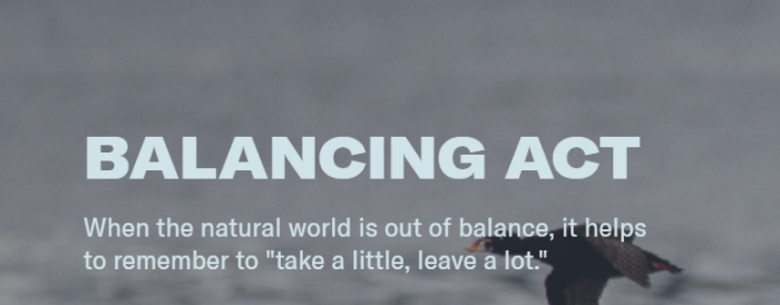 Balancing Act - Indigenous concept of c̓isḷa