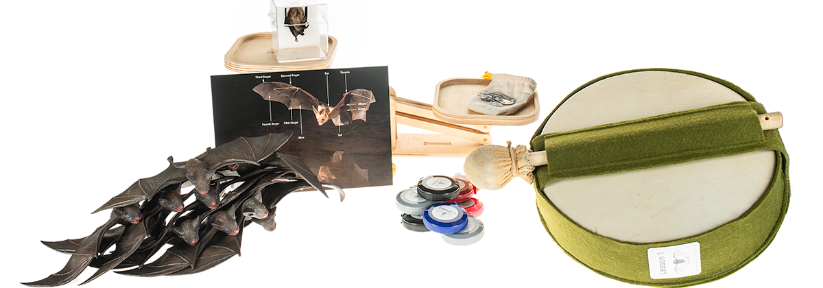 Bats of British Columbia Outreach Kit