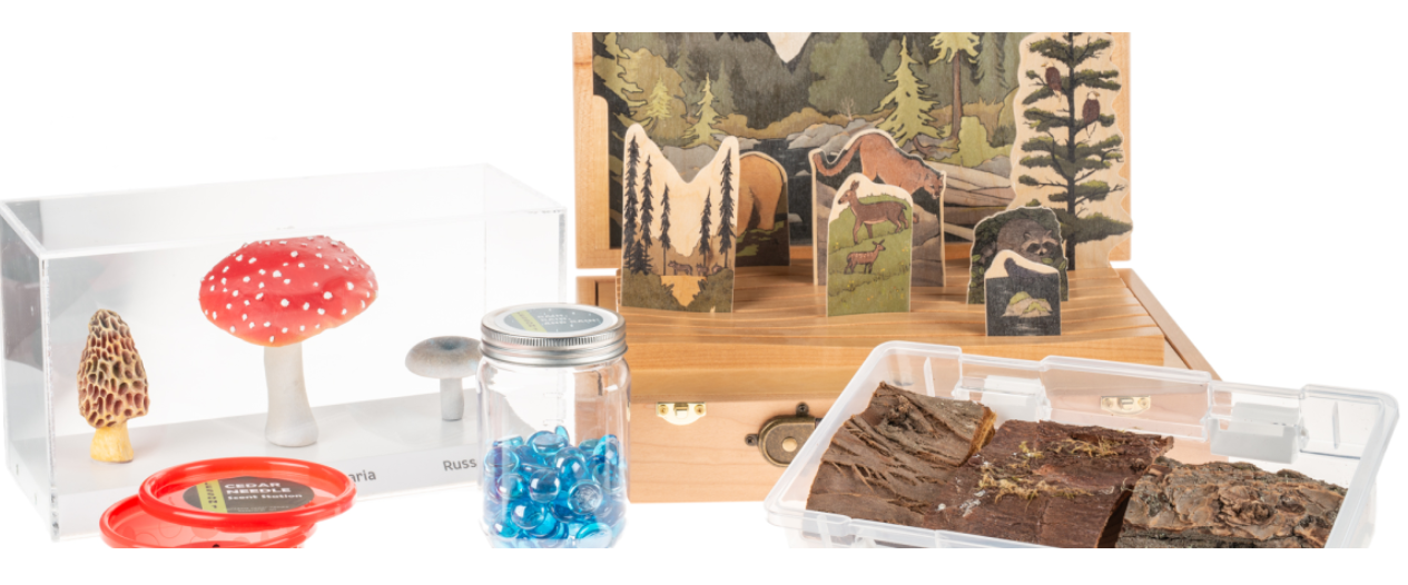 Great Bear Rainforest Outreach Kit