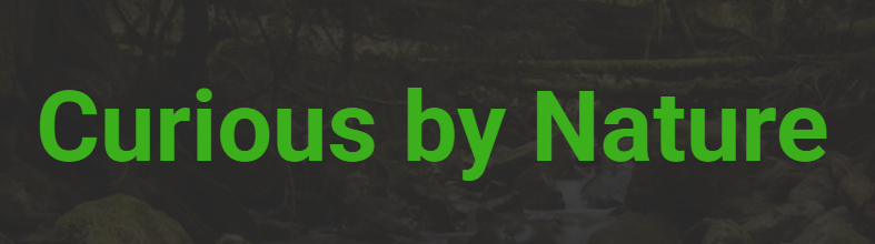 Nature Labs: Curious by Nature